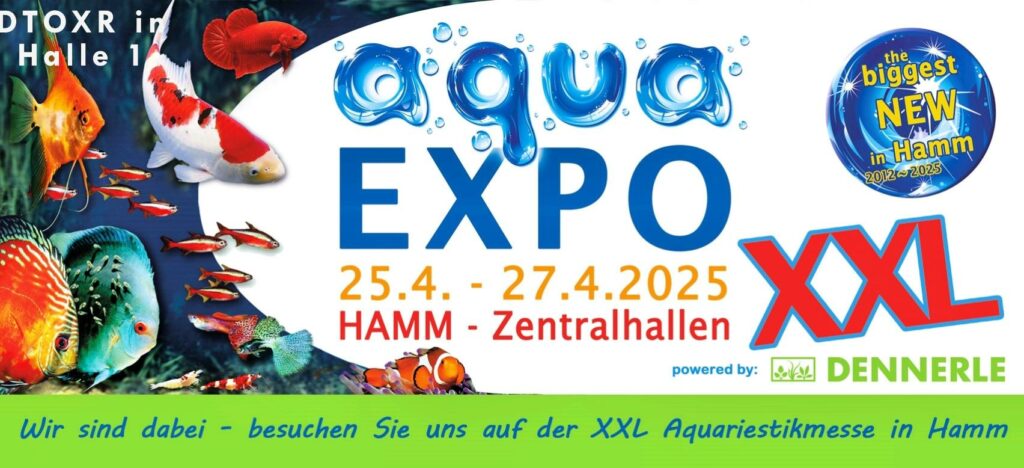 DTOXR ist auf der Expo in Hamm